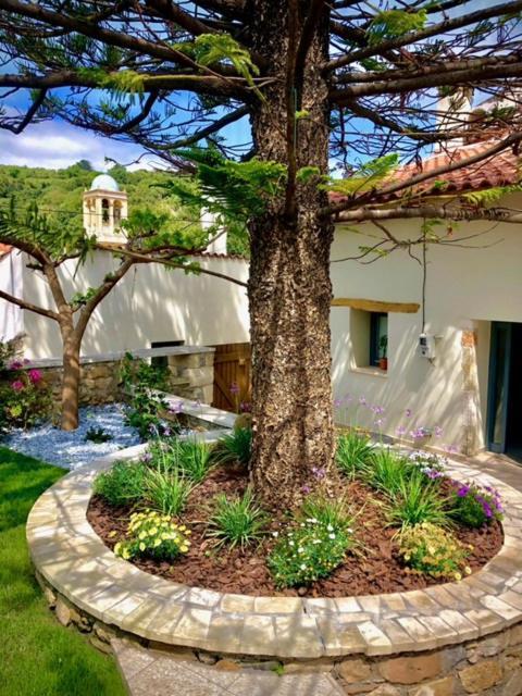 Chorio House Platanias Guest House Vrisai Luaran gambar