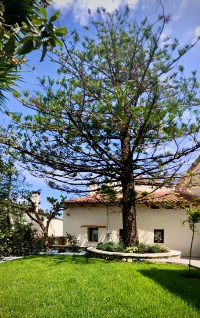 Chorio House Platanias Guest House Vrisai Luaran gambar